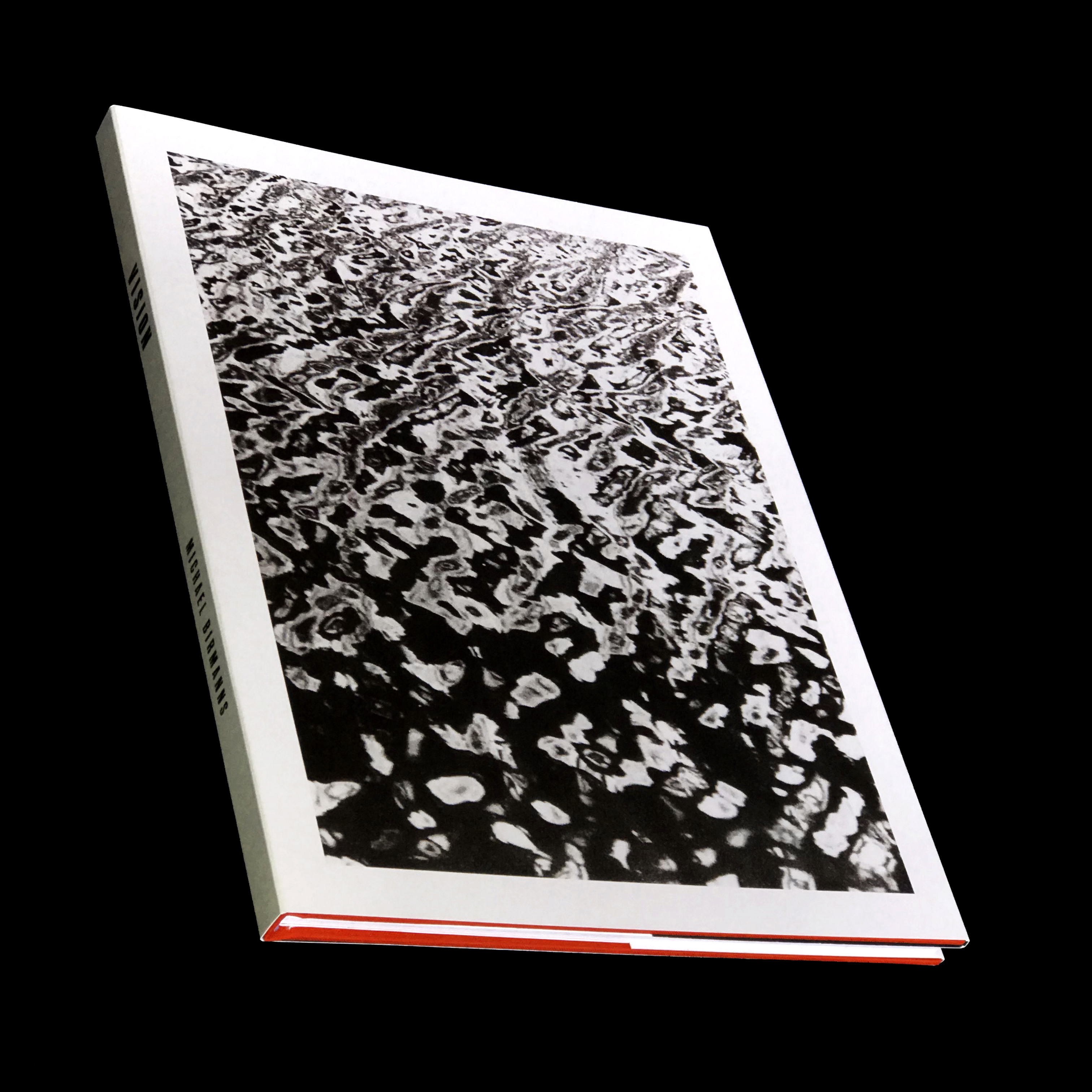 M I C H A E L B I R M A N N S